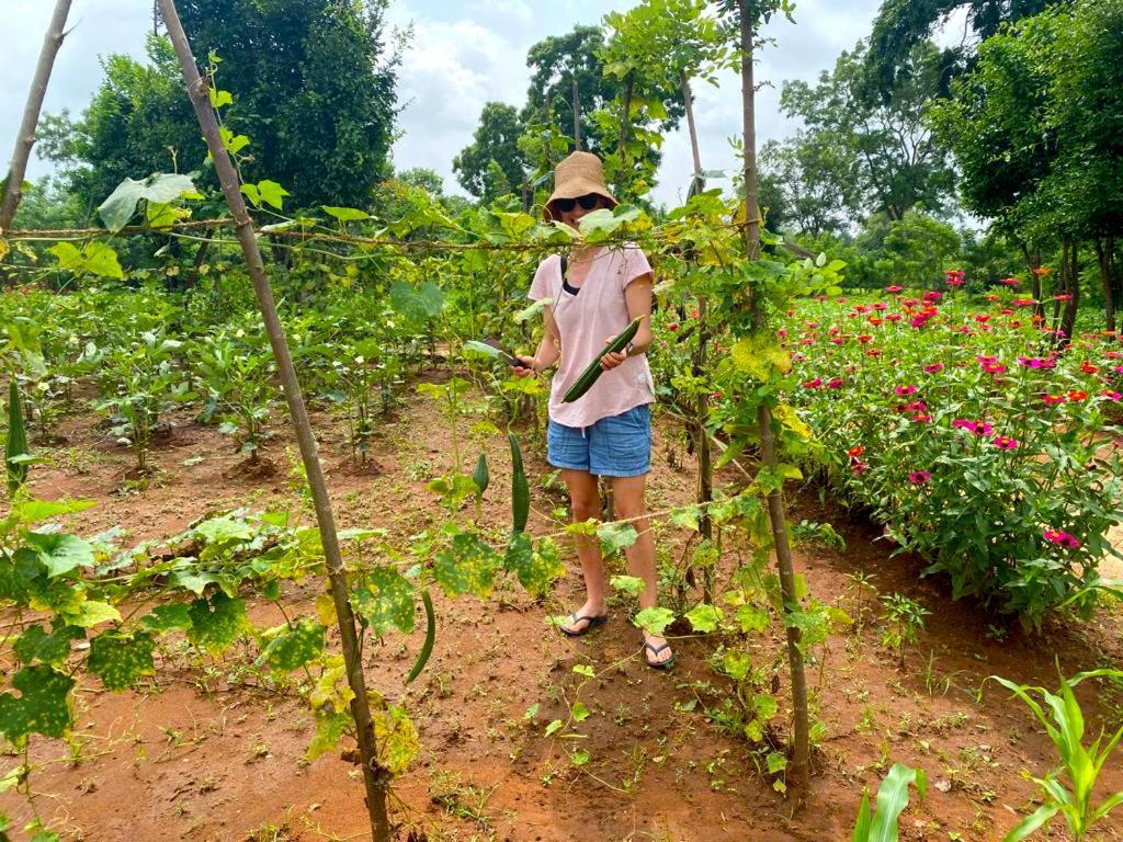 Moni Farm House Wilpattu Nochchiyagama المظهر الخارجي الصورة