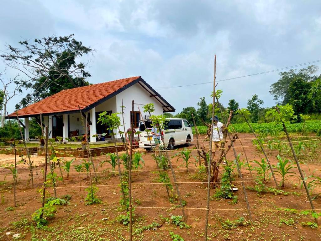 Moni Farm House Wilpattu Nochchiyagama المظهر الخارجي الصورة