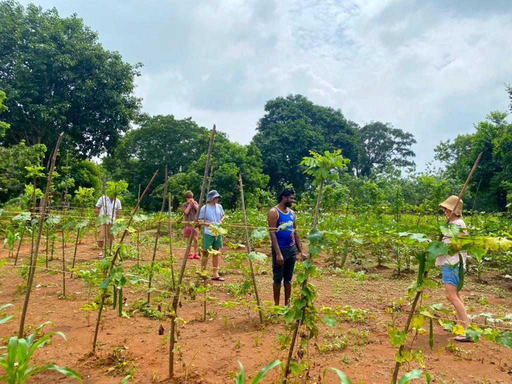 Moni Farm House Wilpattu Nochchiyagama المظهر الخارجي الصورة