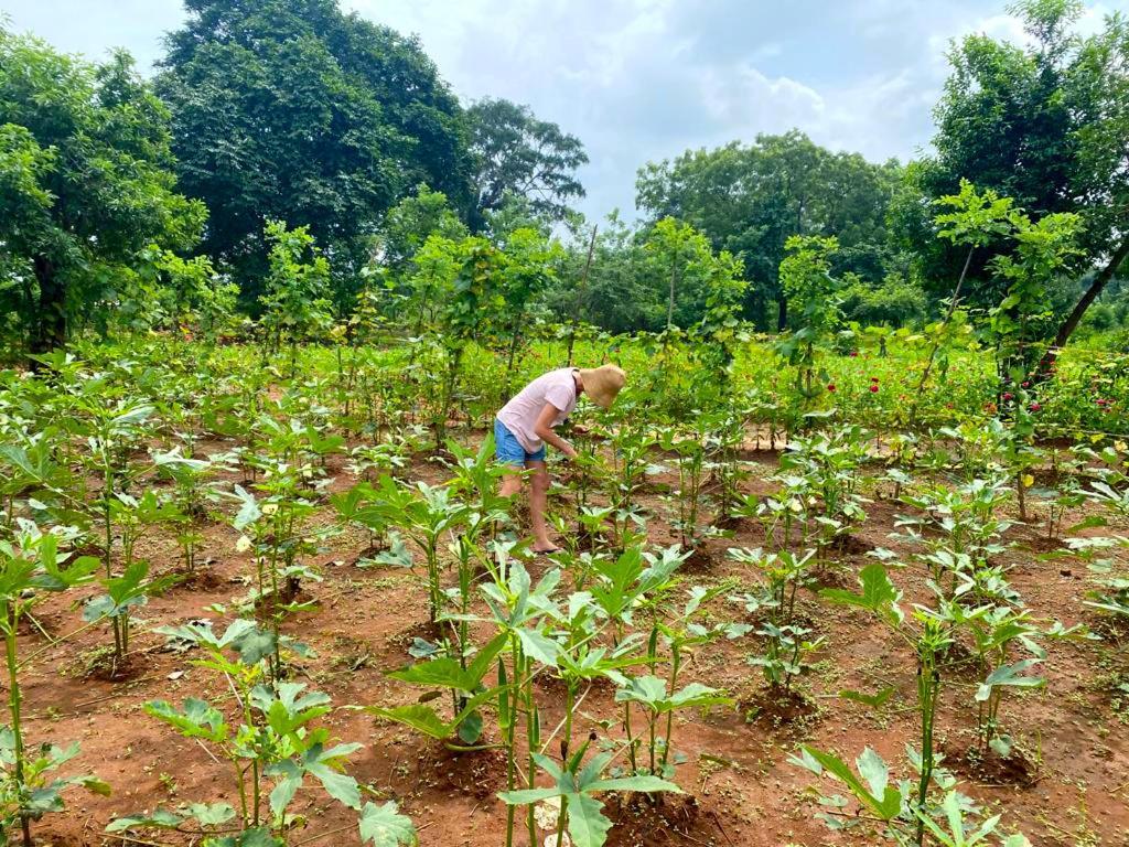 Moni Farm House Wilpattu Nochchiyagama المظهر الخارجي الصورة