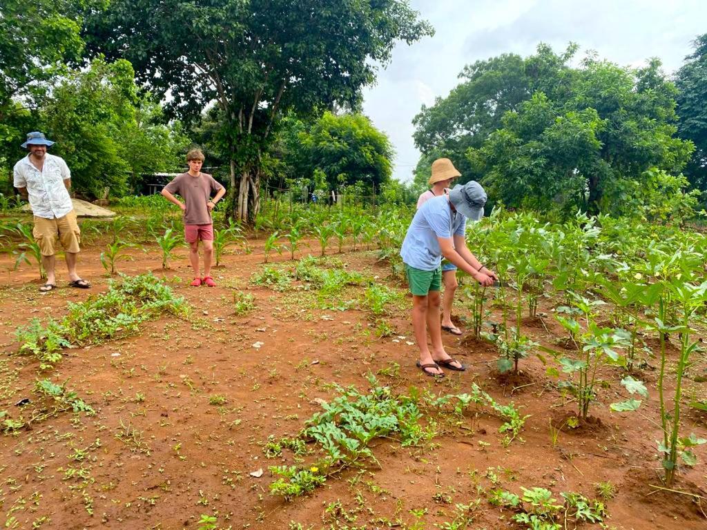 Moni Farm House Wilpattu Nochchiyagama المظهر الخارجي الصورة