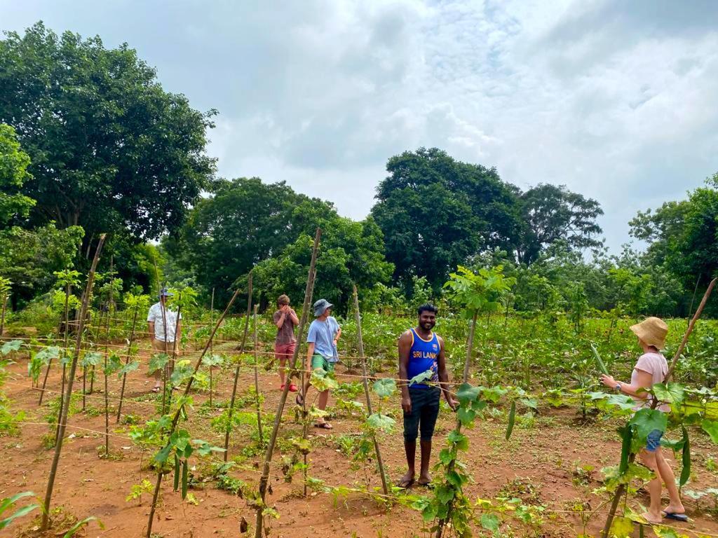 Moni Farm House Wilpattu Nochchiyagama المظهر الخارجي الصورة