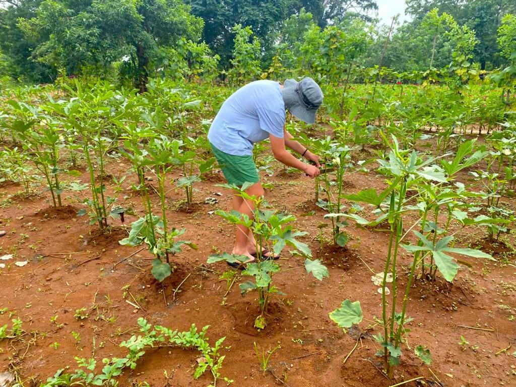 Moni Farm House Wilpattu Nochchiyagama المظهر الخارجي الصورة