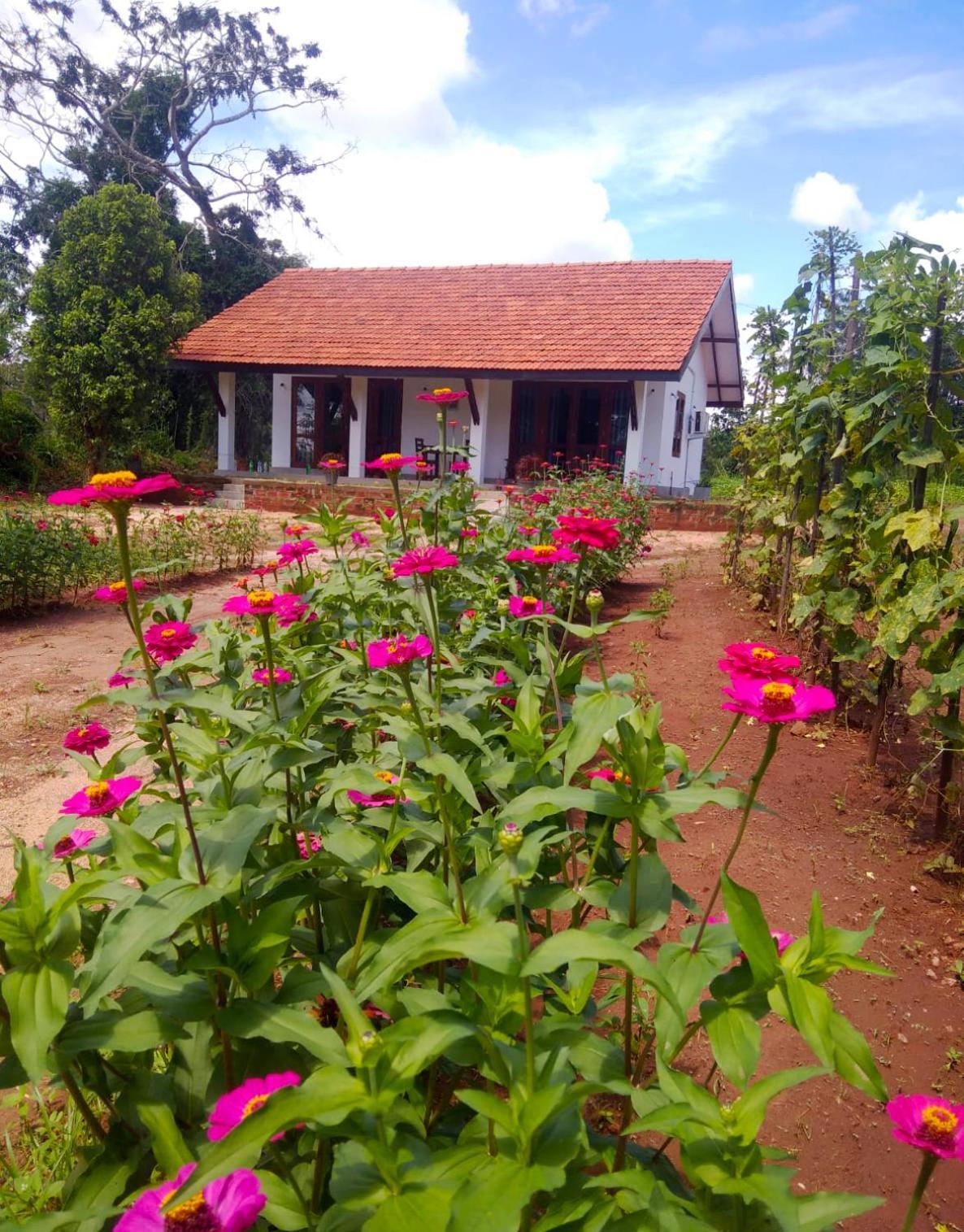 Moni Farm House Wilpattu Nochchiyagama المظهر الخارجي الصورة
