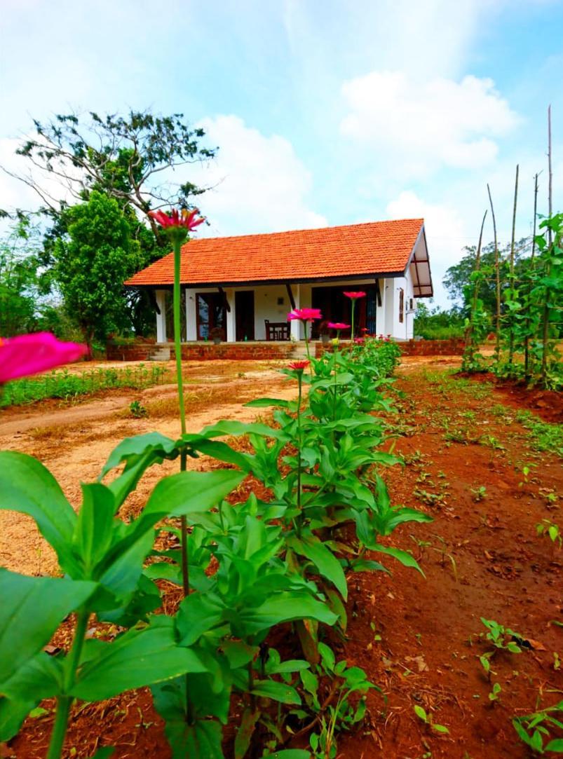 Moni Farm House Wilpattu Nochchiyagama المظهر الخارجي الصورة