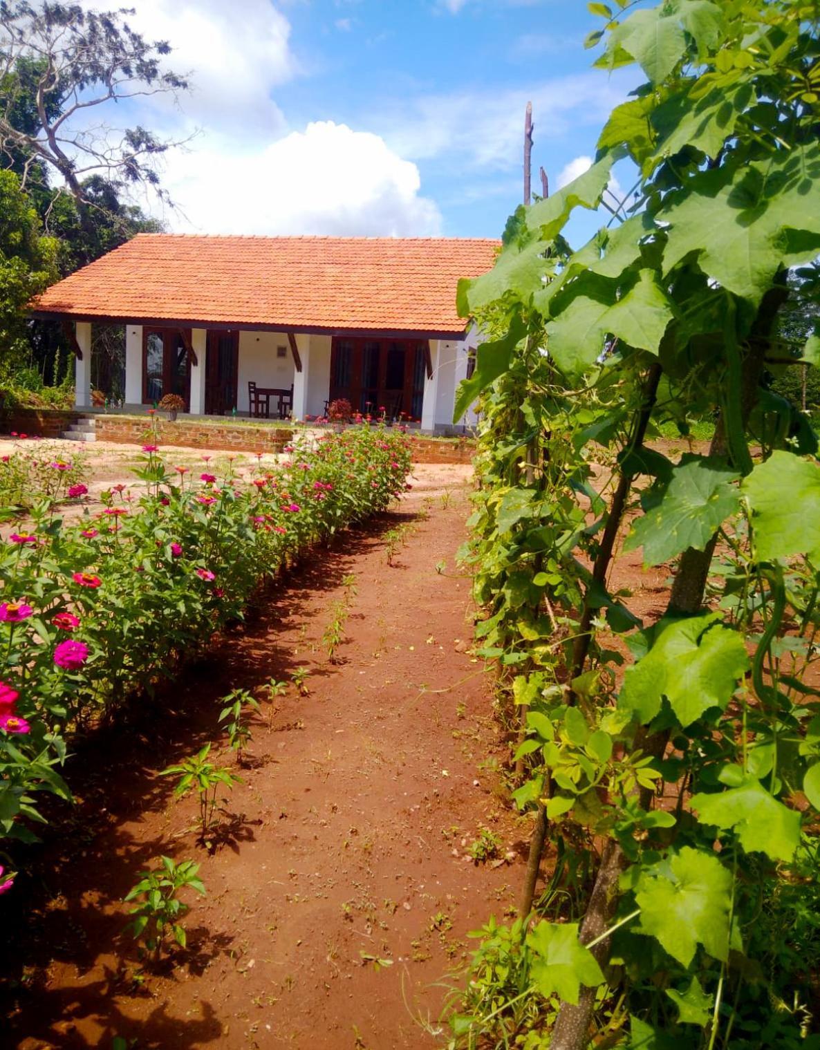 Moni Farm House Wilpattu Nochchiyagama المظهر الخارجي الصورة