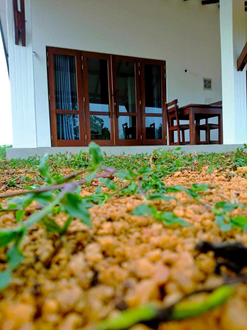Moni Farm House Wilpattu Nochchiyagama المظهر الخارجي الصورة